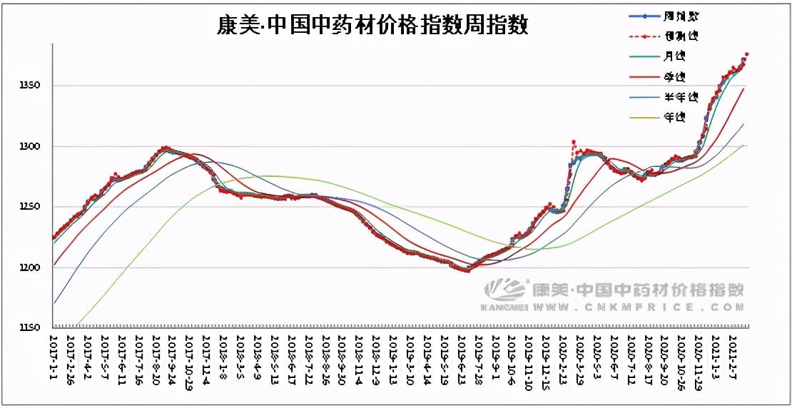 2024年11月23日 第6页